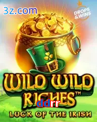 ddrr slot wild wild riches